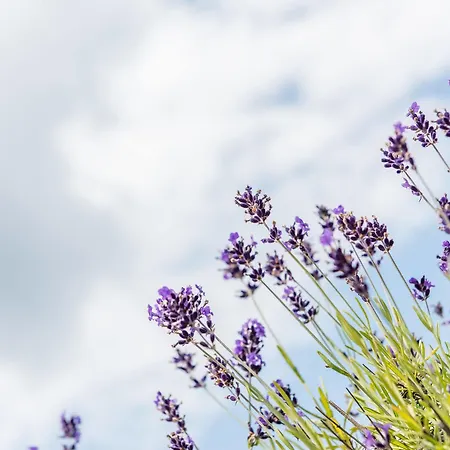 فندق Schaefers Hotel, Self-Check-In, Gratis Baeckerfruehstueck فيشتا